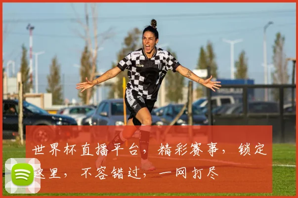 世界杯直播平台，精彩赛事，锁定这里，不容错过，一网打尽