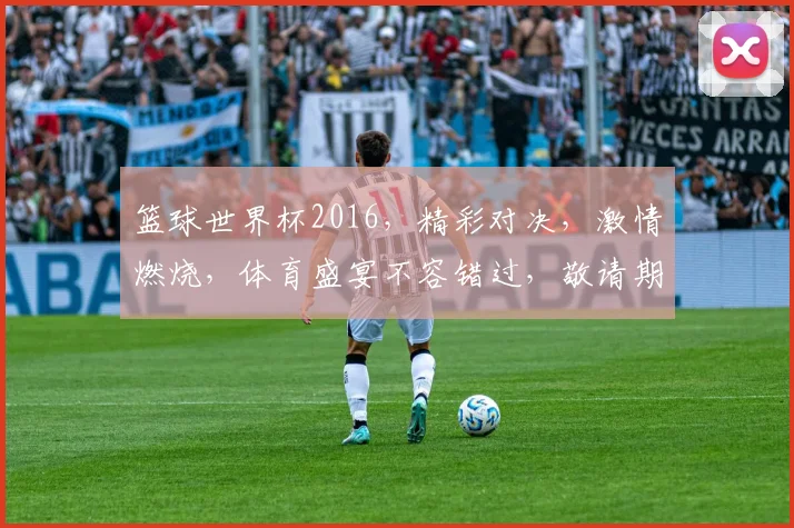 篮球世界杯2016，精彩对决，激情燃烧，体育盛宴不容错过，敬请期待